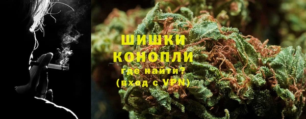 индика Богданович